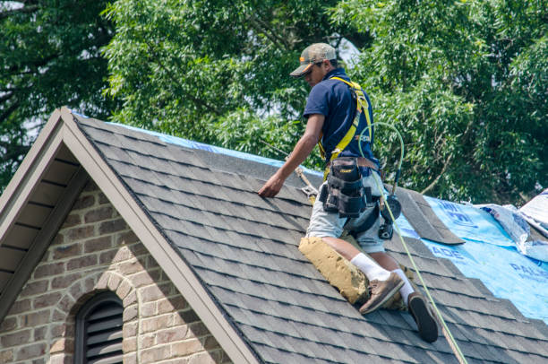 Best Roof Maintenance Services  in Mooreville, MS